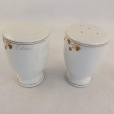 Hutschenreuther Fleuron Rivoli Salt & Pepper 