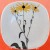 Langenthal Floral Portraits Black Eyed Susan Bread & Butter 
