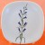 Langenthal Floral Portraits Penstemon Bread & Butter 
