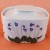 Langenthal Floral Portraits Violets Covered Sugar  