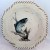 Lenox Riverwood Salmon Octogonal 9.5 inches 