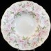 MELODY by Royal Cauldon Rim Soup Bowl 8.25" 