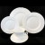 JACOBEAN WHITE by Royal Grafton 5 Piece Place Setting