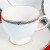 MORESQUE by Wedgwood Tea Cup Only