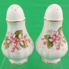 Paragon Mayflower Salt & Pepper Set 3.5" tall