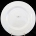 Portmeirion Celadon Dinner Plate 11" Sophie Conran