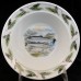 Portmeirion Compleat Angler Welsh Sea Trout Cereal Fern Band 