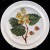 Portmeirion Pomona Bread & Butter Hazel Nut 7.5" dia