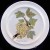 Portmeirion Pomona Bread & Butter White Currant 7.5" 