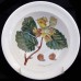 Portmeirion Pomona Cereal Bowl Hazel Nut 6.75" diameter