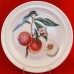 Portmeirion Pomona Dinner 10.5" diameter Royal George