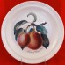 Portmeirion Pomona Dinner 10.5" Princess of Orange Pear