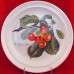 Portmeirion Pomona Dinner Biggarreux Cherry 10.5" 