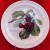 Portmeirion Pomona Dinner Duke Cherry 10.5" diameter