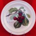 Portmeirion Pomona Dinner Duke Cherry 10.5" diameter