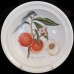 Portmeirion Pomona Rim Soup 8.5" diameter Royal George