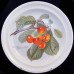 Portmeirion Pomona Salad Biggarreux Cherry 8.5" diameter