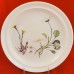 Portmeirion Queen's Hidden Garden Dinner 10.5" White Daisy