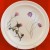 Portmeirion Queen's Hidden Garden Dinner Purple Thistle