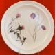 Portmeirion Queen's Hidden Garden Dinner Purple Thistle