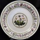 Portmeirion Variations Daisy Bread & Butter 7.25" 