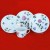 Raynaud Limoges Mon Jardin 5 Piece Place Setting