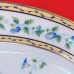 Raynaud Limoges Morning Glory Saucer ONLY
