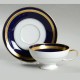 Rosenthal Eminence Cobalt Cup and Saucer NEW NEVER USED