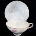 Rosenthal PARISIAN SPRING Dinner 9.75" NEW Germany
