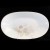 Rosenthal PARISIAN SPRING Oval Dish 9.5" NEW Germany