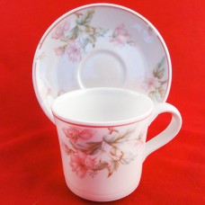 Royal Doulton REGENTS PARK Cup & Saucer Set NEW England