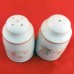 Royal Doulton REGENTS PARK Salt & Pepper Set NEW