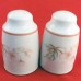 Royal Doulton REGENTS PARK Salt & Pepper Set NEW