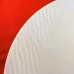 Royal Doulton STUDIO TOUCH Oversized Plate 13" NEW