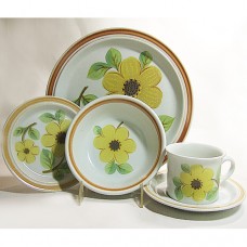 Royal Doulton Summer Days 16pc set