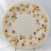 Royal Doulton Sundance 5pc Place Setting 