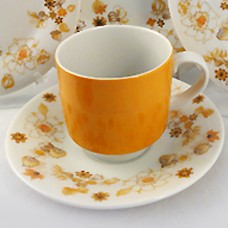 Royal Doulton Sundance Cup & Saucer