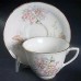 Royal Worcester Caprice Cup and Saucer