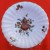 Royal Worcester Delecta Fruit