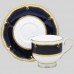 Royal Worcester Diplomat Cup & Saucer SMALL MARK ON LIP
