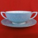 Royal Worcester Serenade creme soup and stand