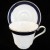 SILVER NILE  by Royal Grafton Cup & Saucer
