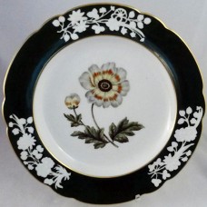 Spode Single Anemone Luncheon 8.75"  diameter