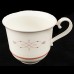 Villeroy & Boch ARAGON Cup Only 2.75" tall NEW Germany