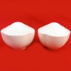 Villeroy & Boch Arco Weiss (White) Salt & Pepper
