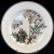 Villeroy & Boch BOTANICA BREAD & BUTTER PLATE 6.5" Wide NEW NEVER USED