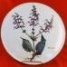 Villeroy & Boch BOTANICA CHOP PLATE 11.75" NEVER USED