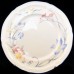 Villeroy & Boch RIVIERA 5pc Place Setting NEW Germany