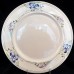 Villeroy & Boch VERONA SALAD PLATE 8" NEW NEVER USED OR SOLD