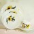 Wedgwood Black Eyed Susan 5pc Place Setting